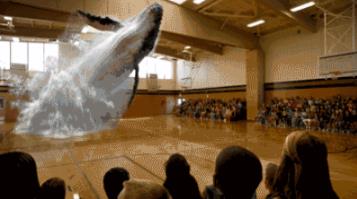 【詹長霖】是怎樣的跨界創新人才成功吸引馬雲注資7.9億美元？一條巨大的鯨魚從籃球場的中央飛躍而出！